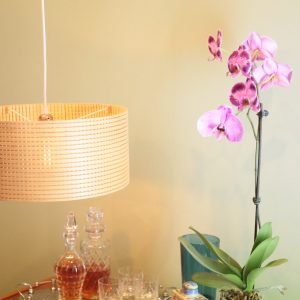 Gingham Light 2020